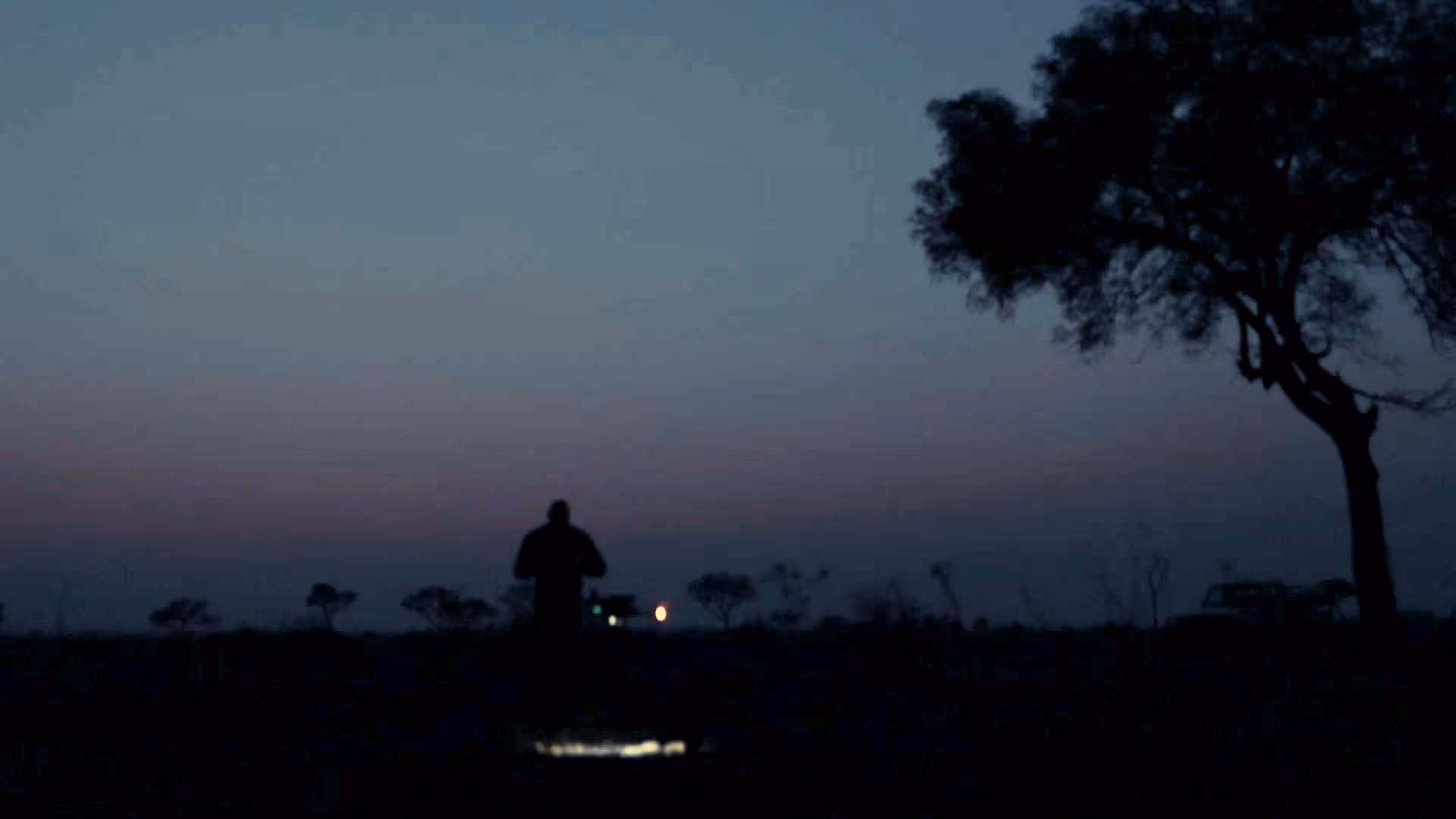 Silhouette of a person standing in a dark field at dusk with a tree on the right.