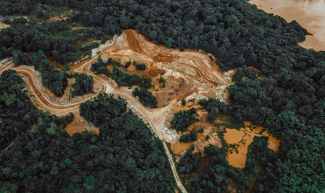 Aerial view of a large deforested area amidst dense forest and muddy water bodies.